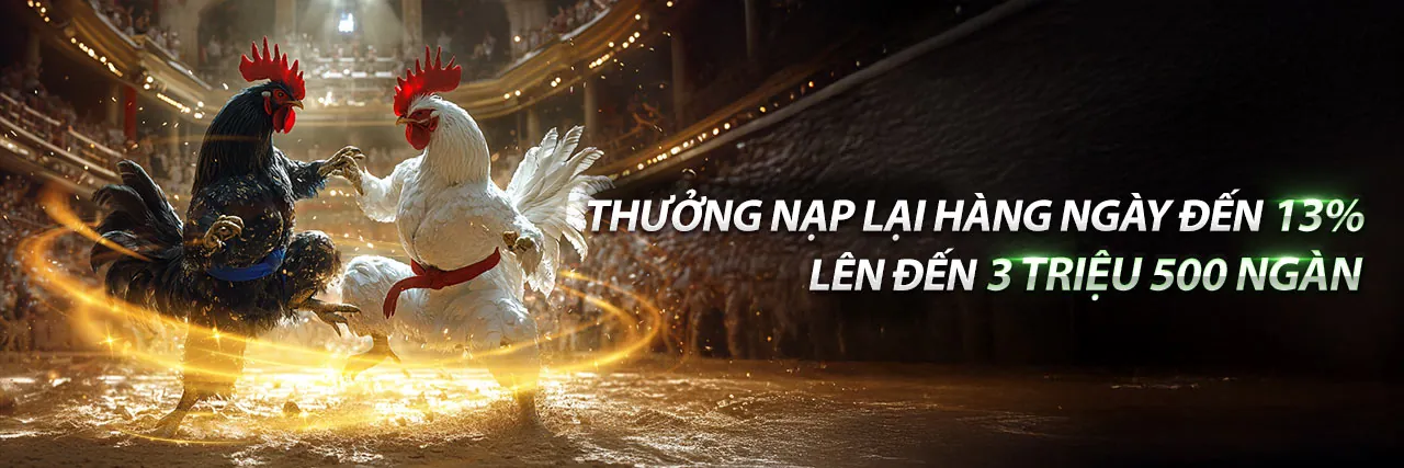 Sân đấu đá gà trực tuyến c5 hoành tráng tại FB88